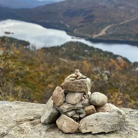 Fjellhytte Med Utsikt Over Hovden *